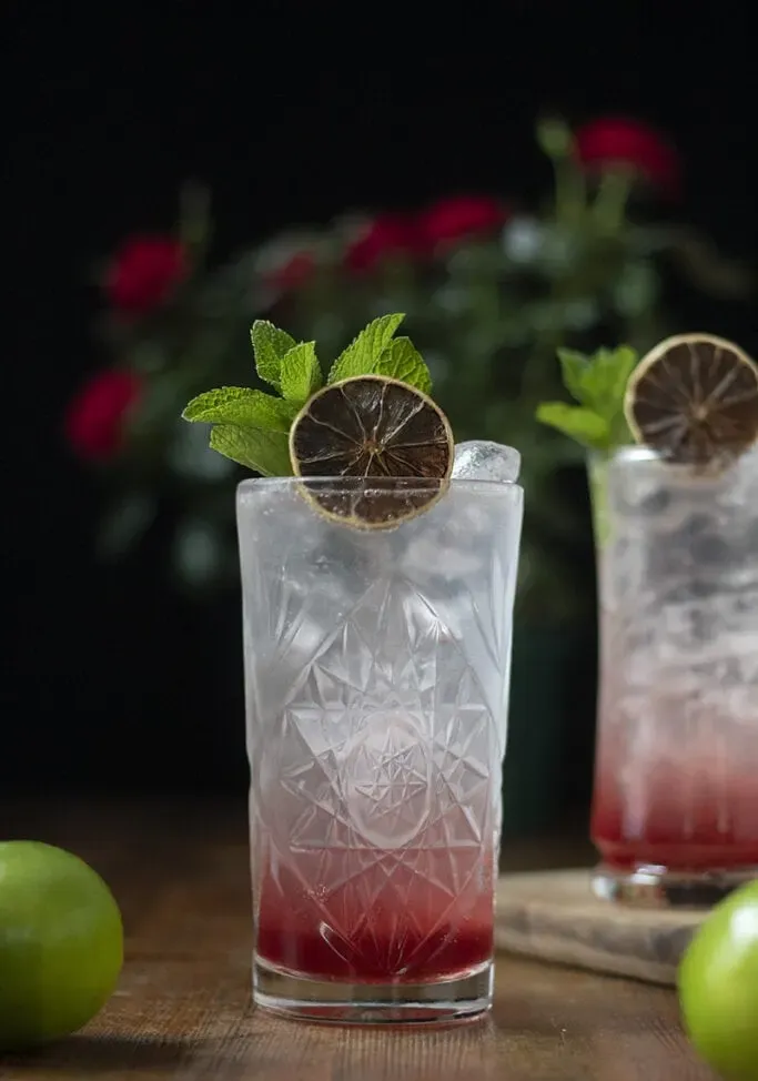 detailný záber na highball s červenou tekutinou na dne a čírou tonickou vodou vypĺňajúcou zvyšok pohára.' loading='lazy' title=