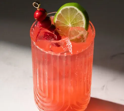 jasne červený nápoj vo vysokom pohári ozdobený kolieskom limetky a napichnutými brusnicami.' title=