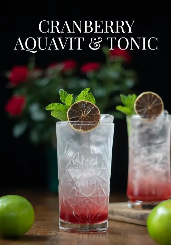 brusnica-aquavit-and-tonikum-od-moody-mixologist-7683282' title=