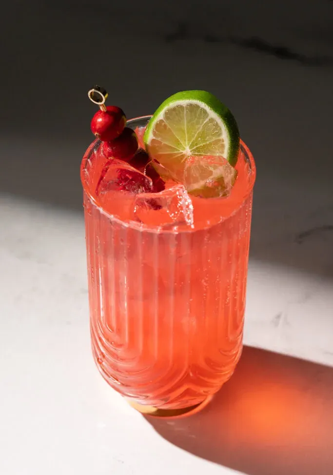 bebida vermelha brilhante em um copo alto decorado com uma roda de limão e cranberries no espeto.' loading='lazy' title=