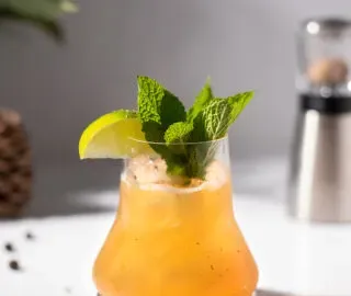 un cocktail de whisky et de pamplemousse garni d'un quartier de citron vert et de feuilles de menthe.' title=
