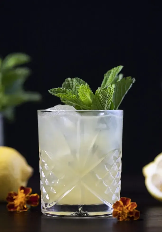 Cocktail in einem Rocks-Glas, garniert mit Minze' title=