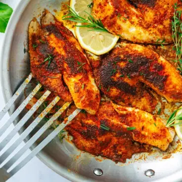 Sčernená Tilapia