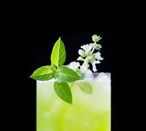 une boisson vert vif dans un verre à whisky avec une fleur de basilic blanc.' title=