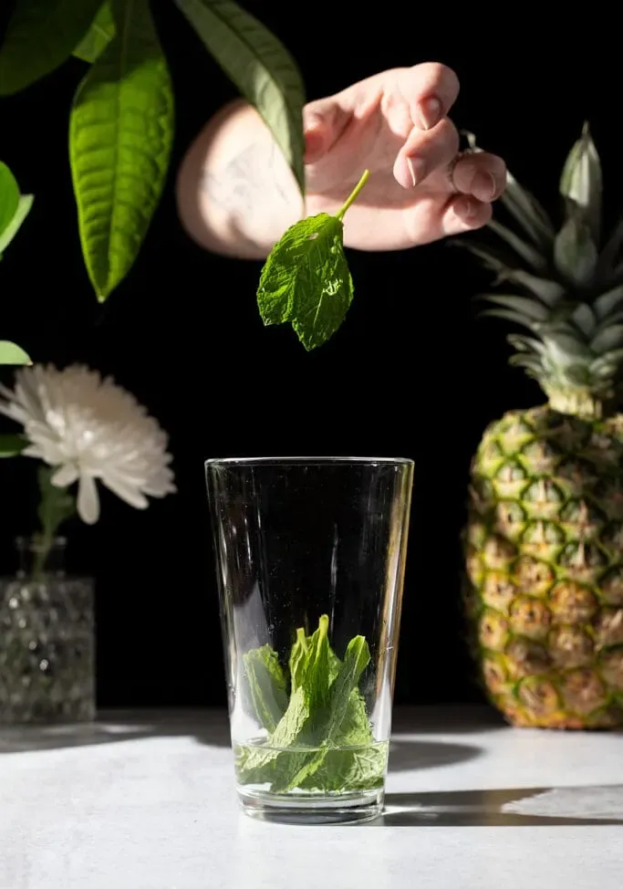 lasciando cadere le foglie di menta in uno shaker' loading='lazy' title=
