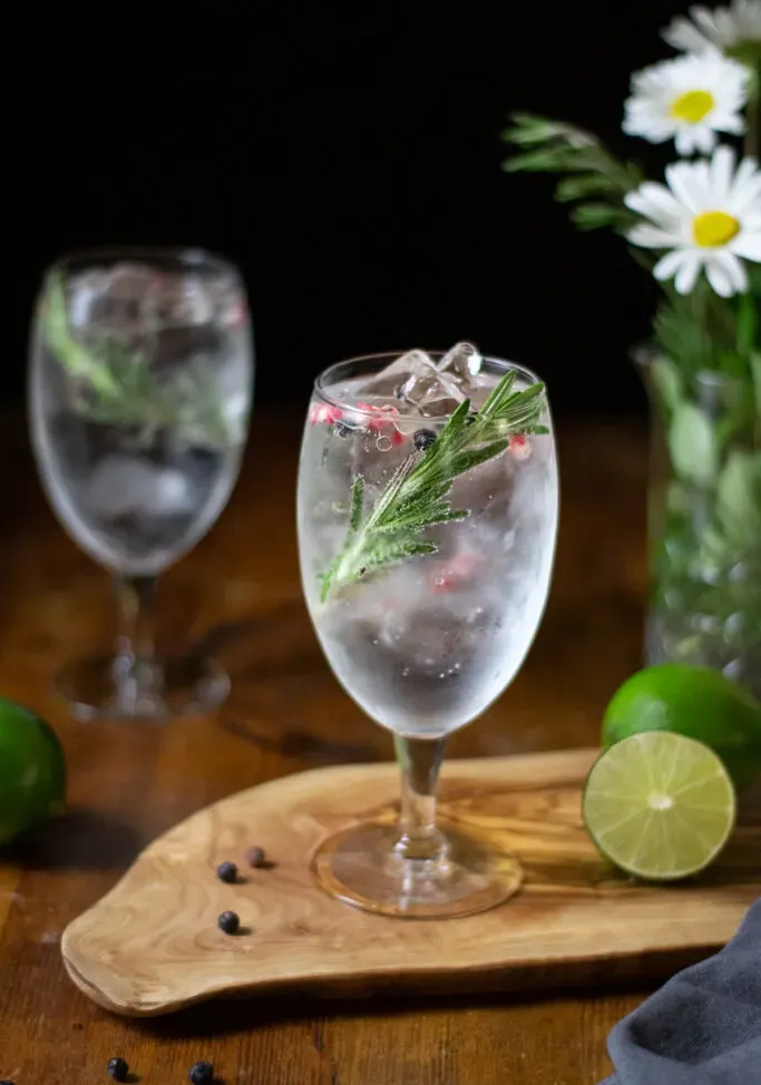 Jak vyrobit perfektní gin a tonikum