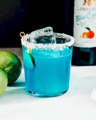 blaues Gänseblümchen