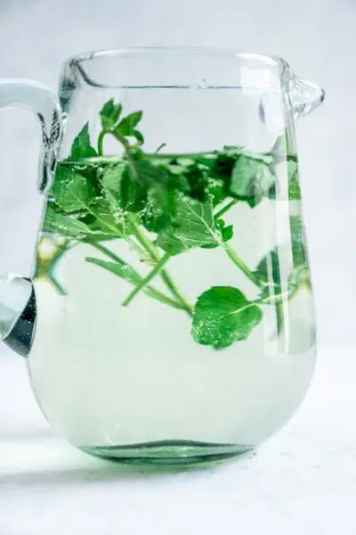 Einfaches Minzwasser-Rezept