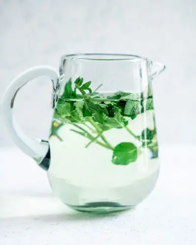 Einfaches Minzwasser-Rezept