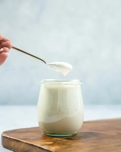 Creme de Leite Vegano