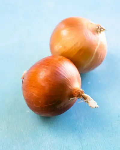Oignons