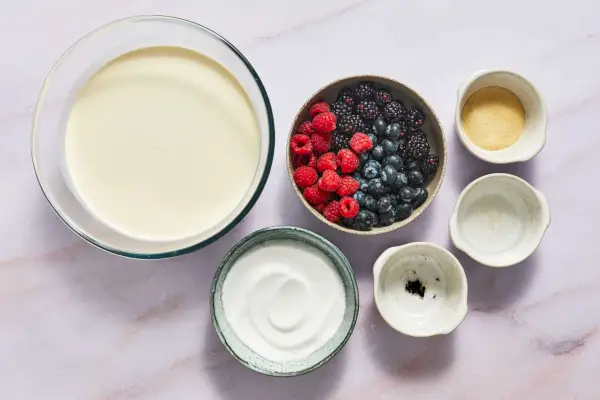 Panna Cotta Alla Vaniglia
