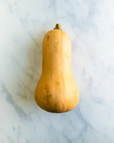 버터넛 스쿼시