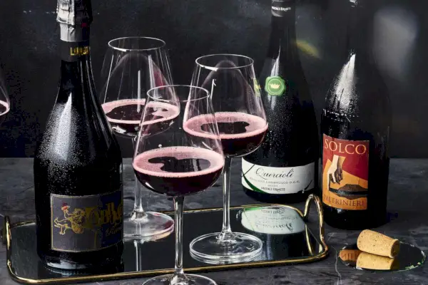 좋아하거나 싫어하는 레드, 람브루스코(Lambrusco)는 여름의 스파클링 와인입니다