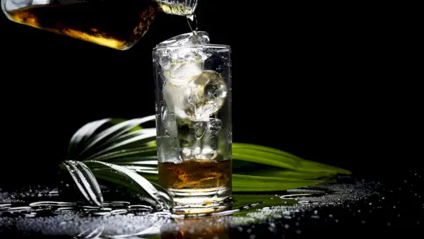 So bereiten Sie einen perfekten Whisky-Highball zu