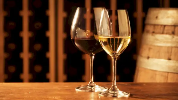 Was ist der Unterschied zwischen Rot- und Weißwein?