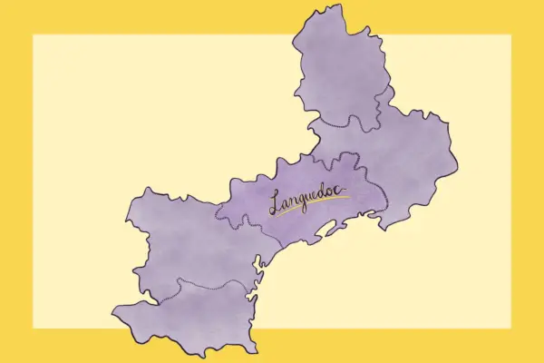 Cinsault: tudo o que você precisa saber