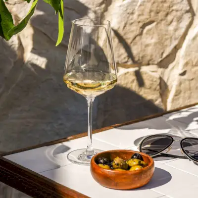 Malvasia: una guida alle basi
