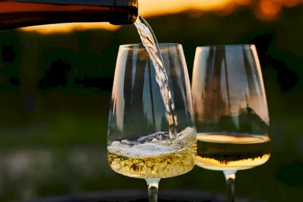 Sancerre letí z regálů – zde je 5 vín, která můžete vyzkoušet, když nemůžete najít svou oblíbenou láhev