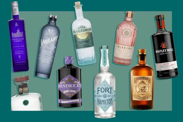 9 nejlepších ginů za gin s tonikem