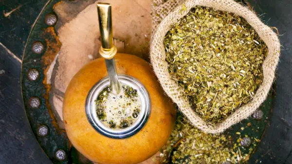 Tudo o que você precisa saber sobre o chá de erva-mate, a super bebida sul-americana