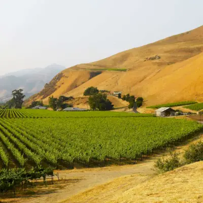 10 meilleurs vignobles de Paso Robles à visiter