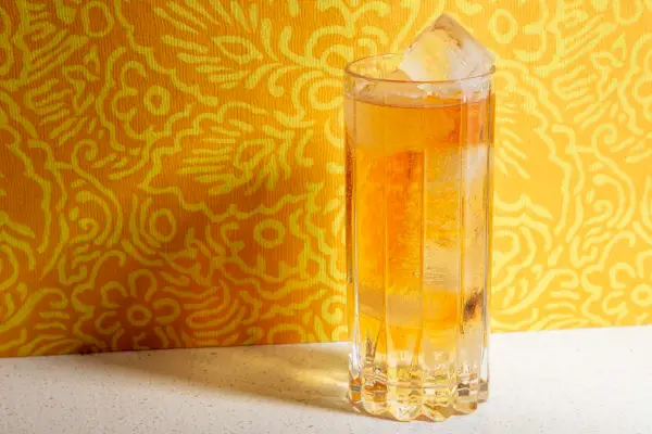 数分で作れる簡単炭酸ハイボール10選