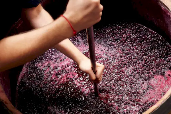 Vino natural 101: una explicación sobre el vino de baja intervención