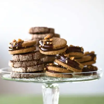 Biscuits au chocolat en croûte de sucre
