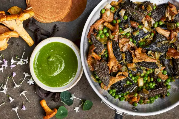 Unsere 40 besten Pilzrezepte