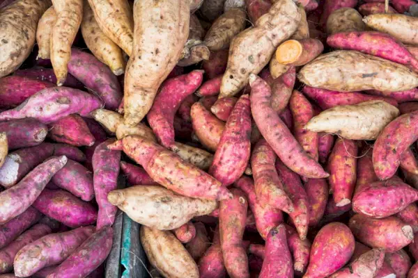 La differenza tra patate dolci e patate dolci è il razzismo strutturale