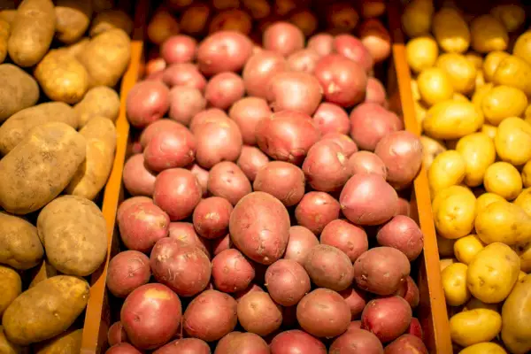 Como escolher a batata certa para amassar, assar, fritar e muito mais