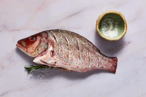 Vivaneau entier grillé