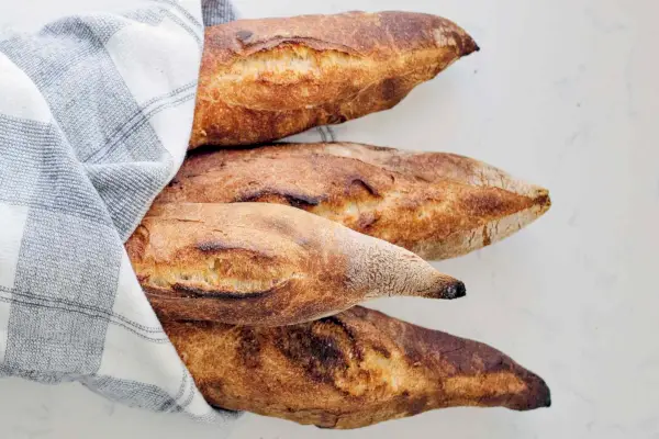 비로테(과달라하라 사워도우 빵)
