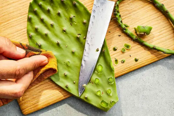 היופי של Nopales בגריל