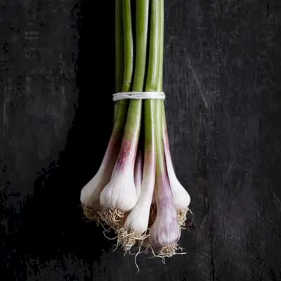 original-201405-HD-spring-green-garlic.webp