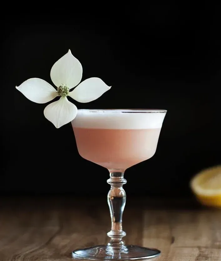 cóctel-de-gin-dama-rosa-con-guarnición-de-flores-de-kousa' title=