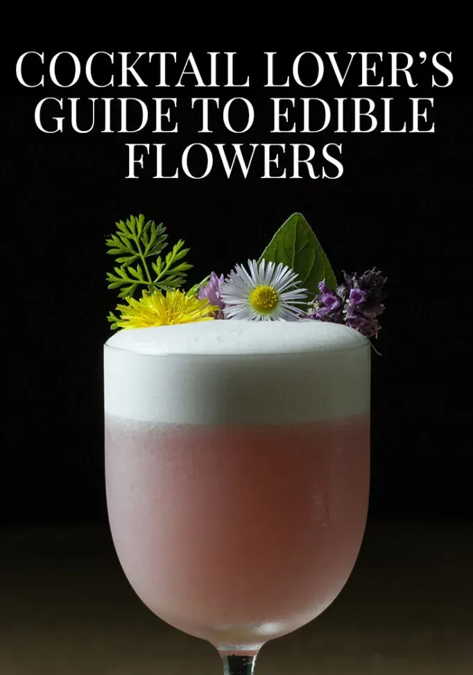 Guía definitiva de flores comestibles para cócteles