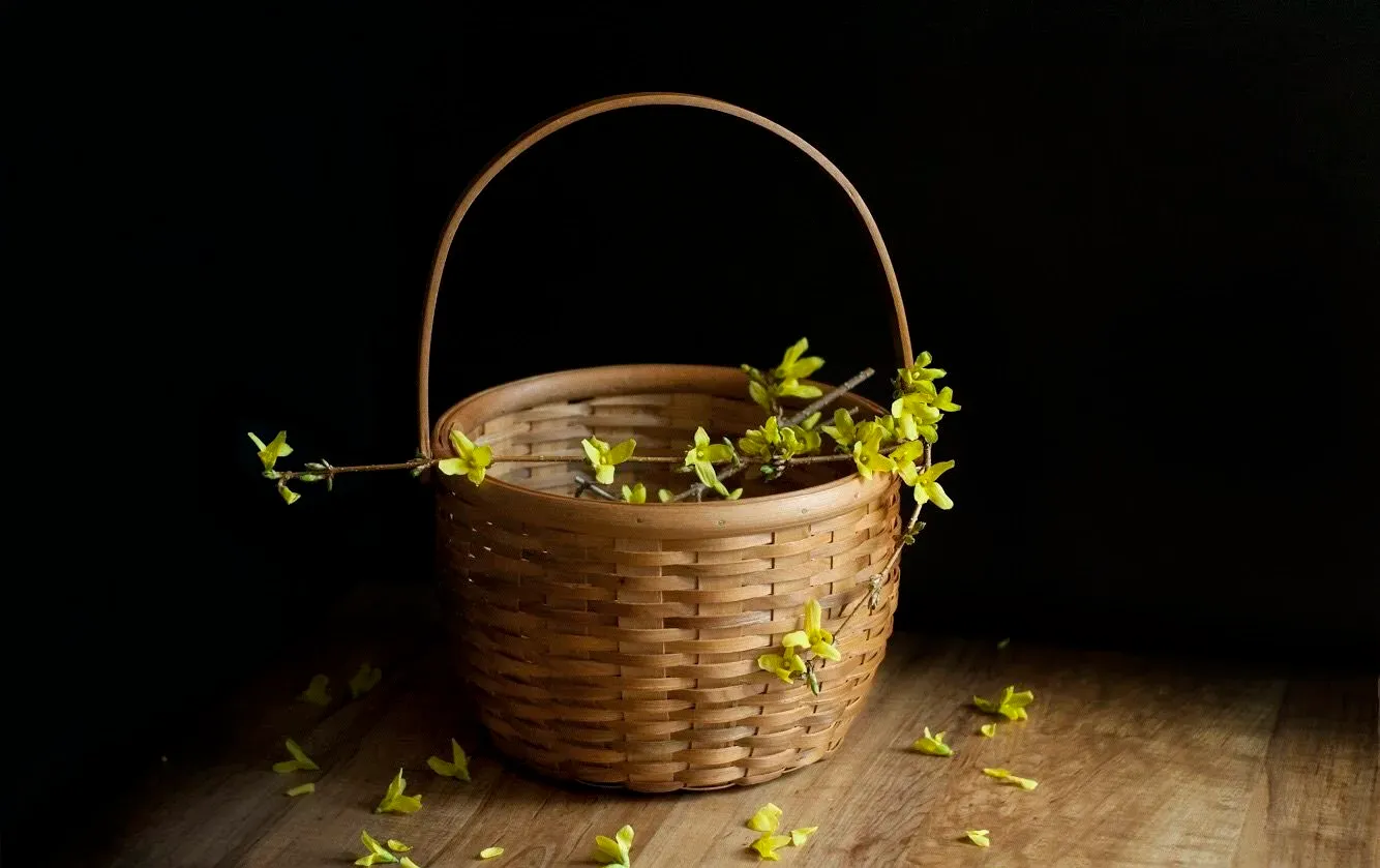 採集レンギョウ蜂蜜シロップのレシピ