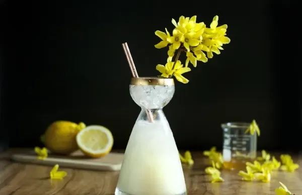 Recept na klasický ginový koktail Bee’s Knees' title=