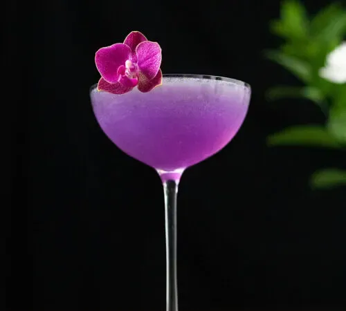 Lila Cocktail mit einer rosa Orchidee in einem Coupé-Glas.' title=