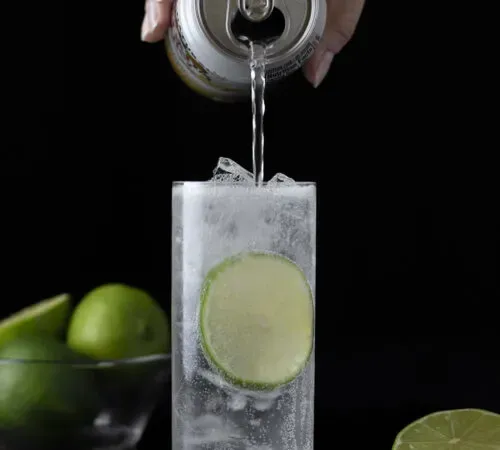 como fazer um coquetel clássico de gin rickey' title=