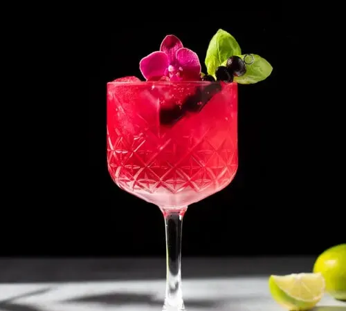 une boisson rose vif dans un verre à pied avec une orchidée' title=