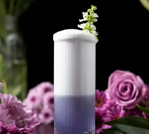 Vaso alto lleno de un cóctel morado cubierto con una capa alta de espuma blanca.' title=