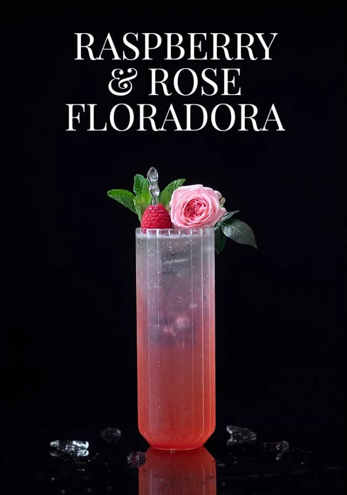 cóctel-de-frambuesa-y-rosa-floradora-ginebra-y-jengibre-ale-8444818' title=