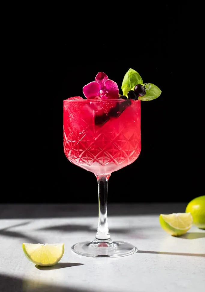 Gin tónico de arándanos