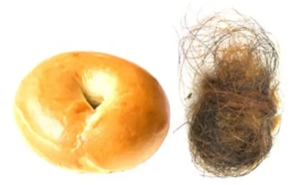 5 najhrubších prísad, ktoré jete