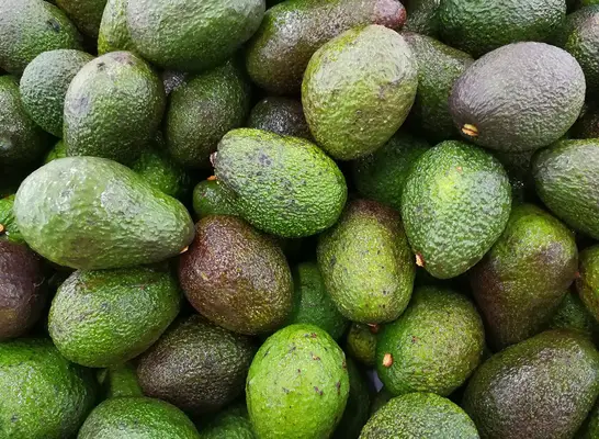 20 Lebensmittel, die dazu beitragen könnten, Triglyceride zu reduzieren