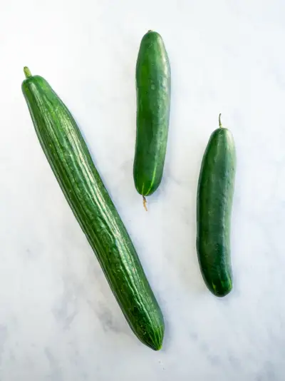 Englische Gurke