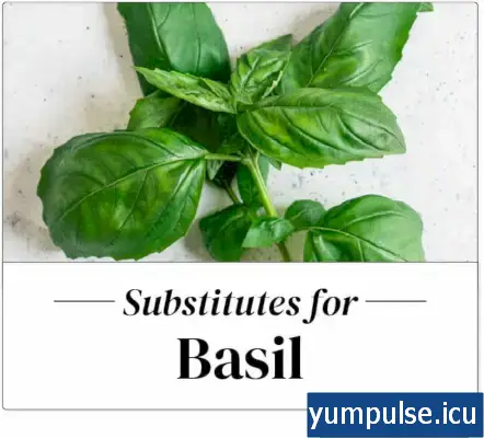 Najlepszy substytut bazylii